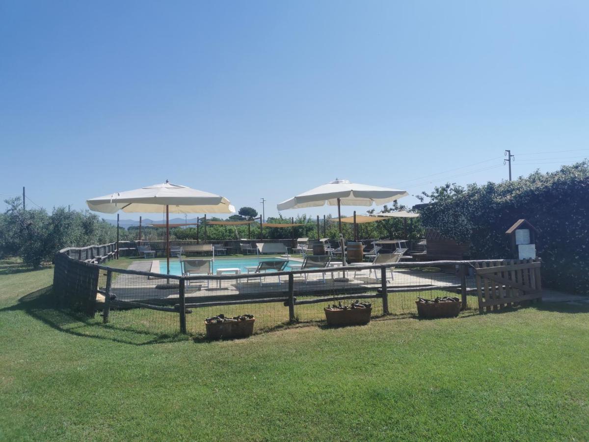 Podere Serena Castagneto Carducci Kültér fotó