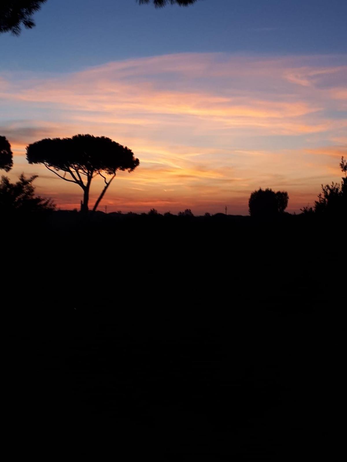 Podere Serena Castagneto Carducci Kültér fotó
