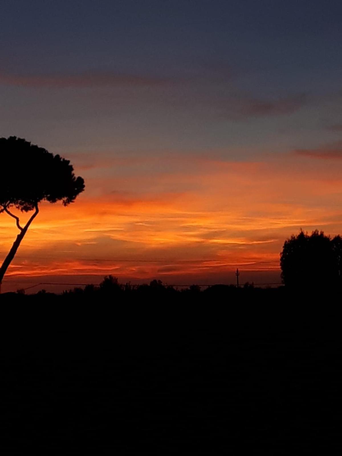 Podere Serena Castagneto Carducci Kültér fotó