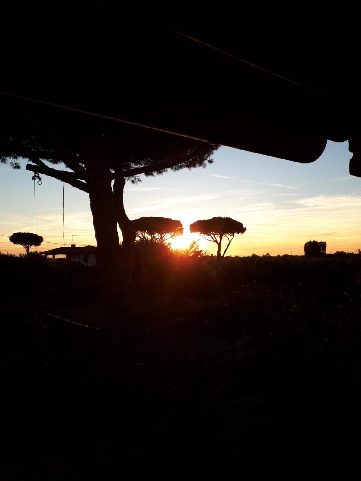Podere Serena Castagneto Carducci Kültér fotó