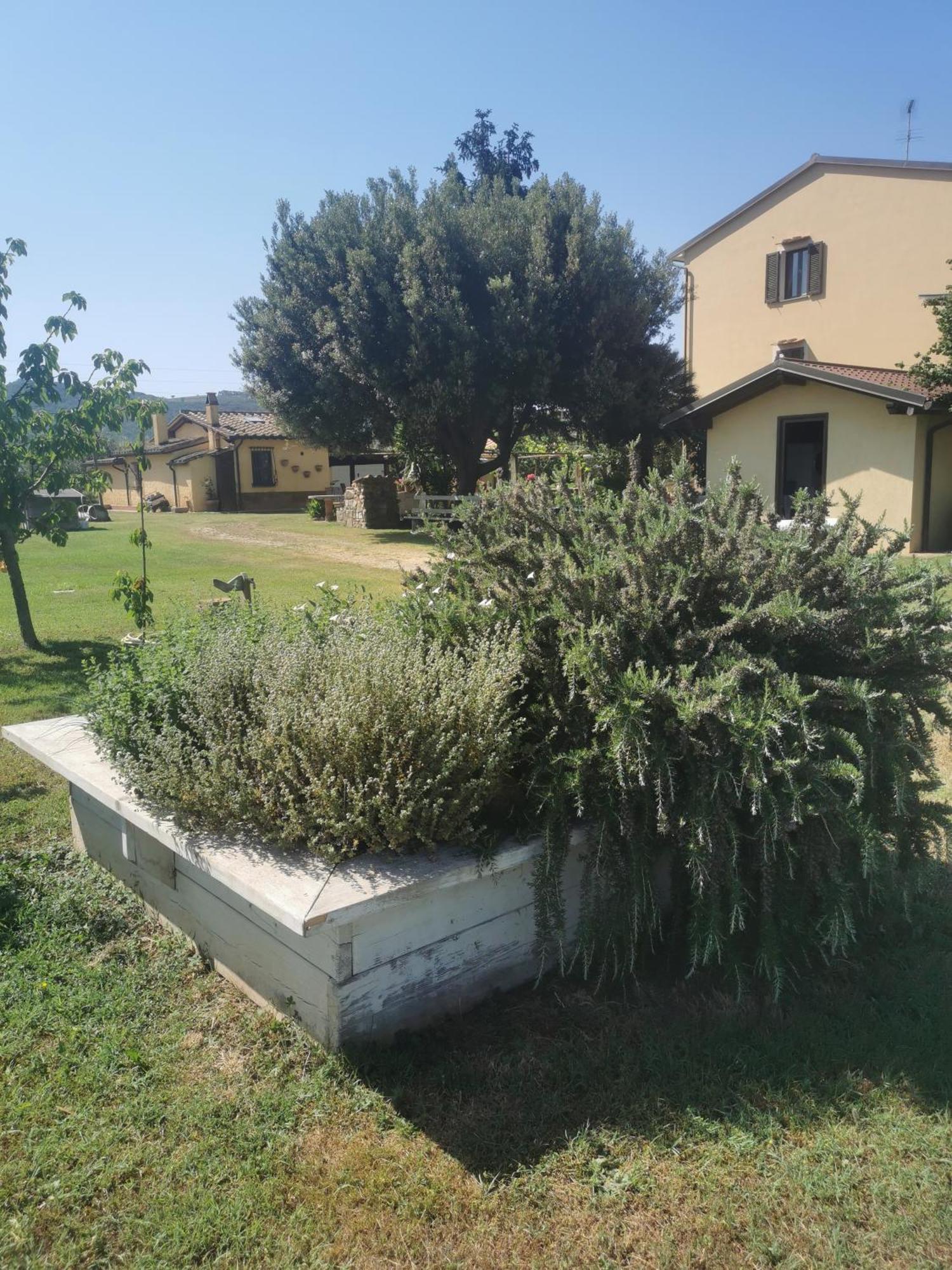 Podere Serena Castagneto Carducci Kültér fotó