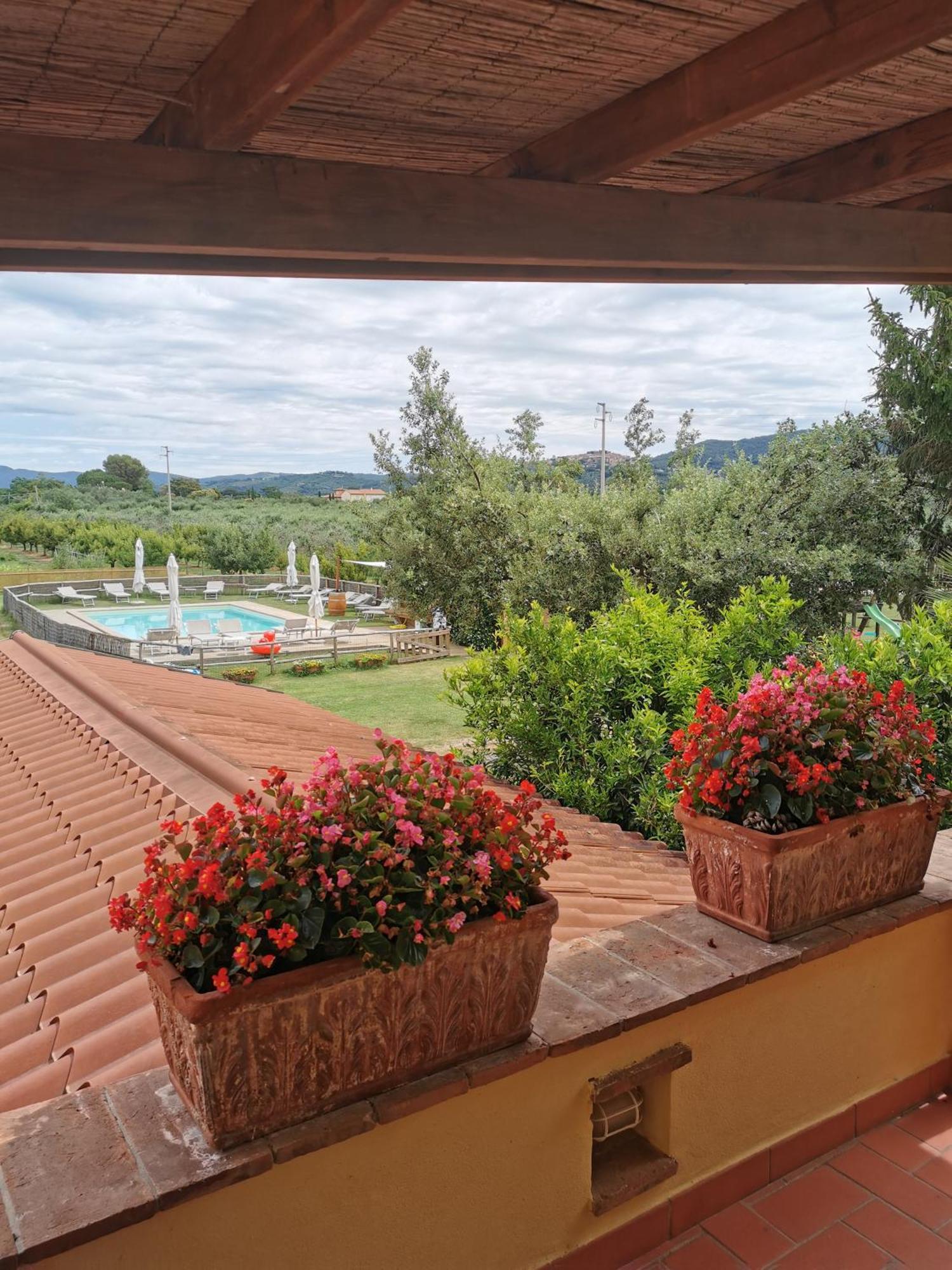 Podere Serena Castagneto Carducci Kültér fotó