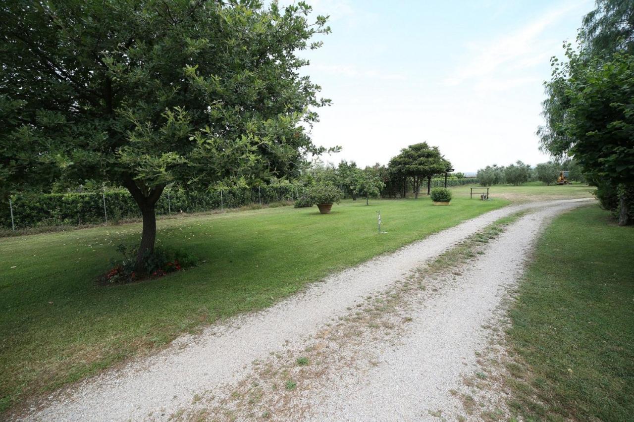 Podere Serena Castagneto Carducci Kültér fotó