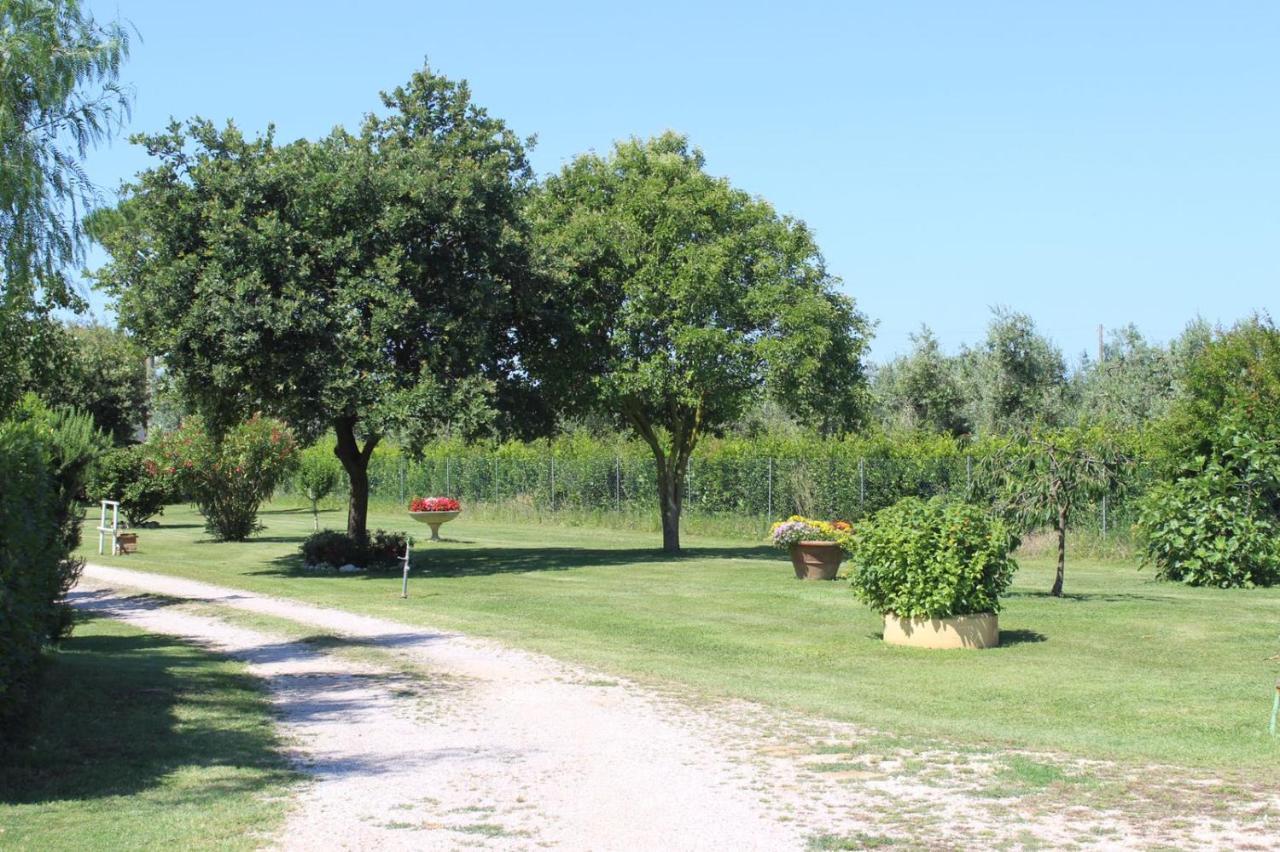 Podere Serena Castagneto Carducci Kültér fotó