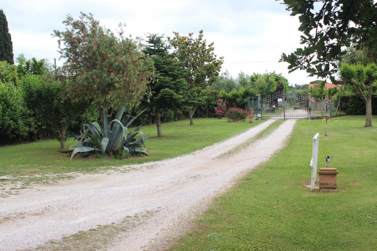 Podere Serena Castagneto Carducci Kültér fotó