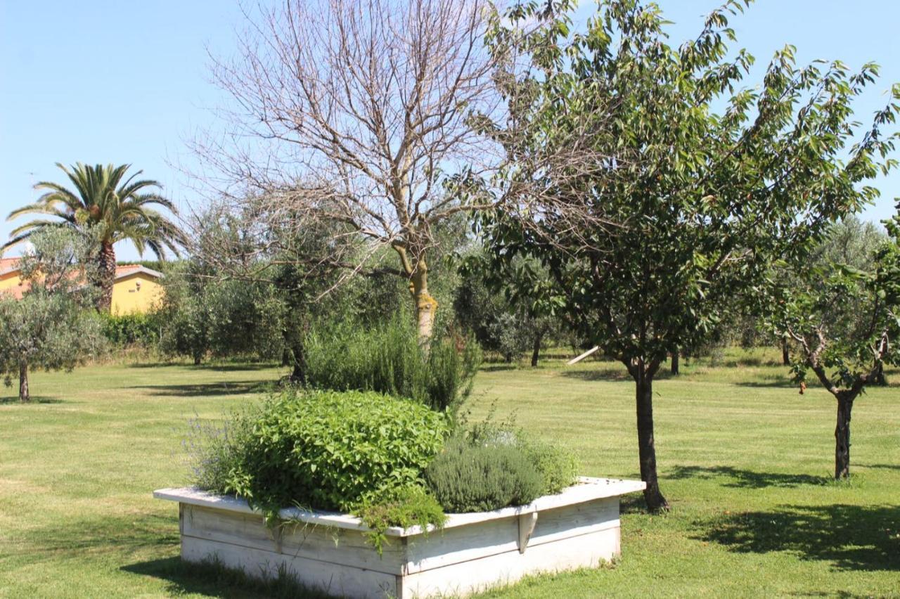 Podere Serena Castagneto Carducci Kültér fotó