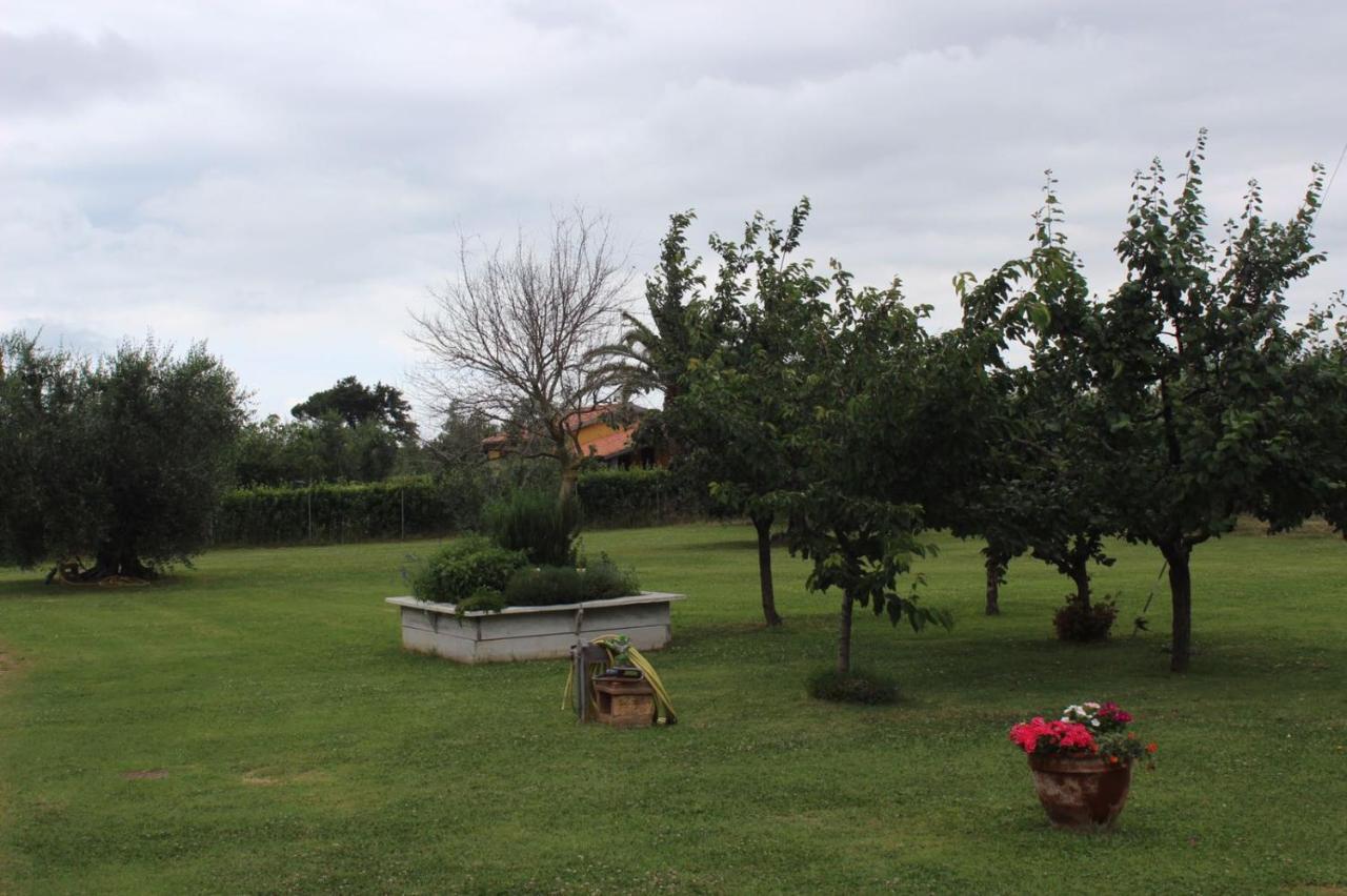 Podere Serena Castagneto Carducci Kültér fotó