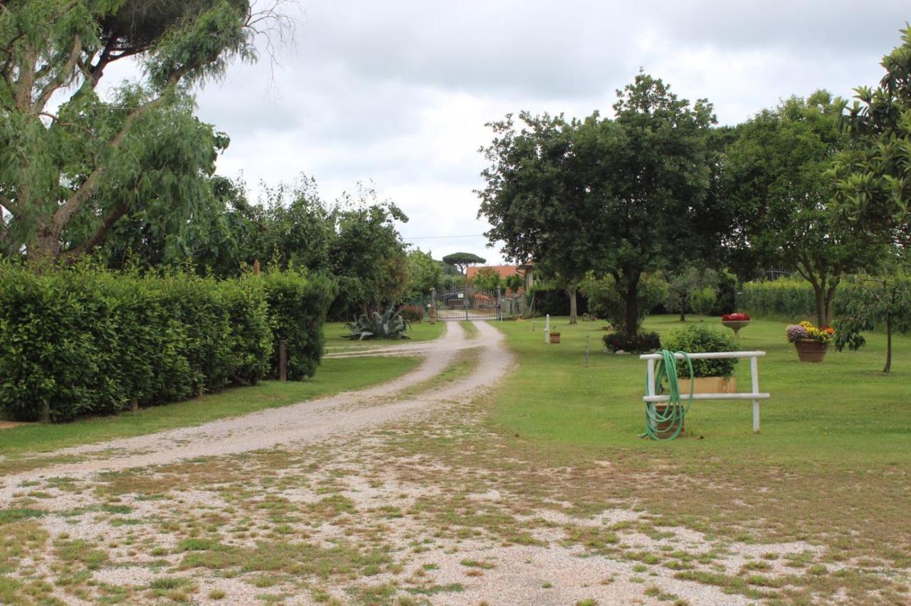 Podere Serena Castagneto Carducci Kültér fotó